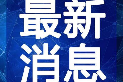 琳梦最新爆料视频,幕后真相大曝光!