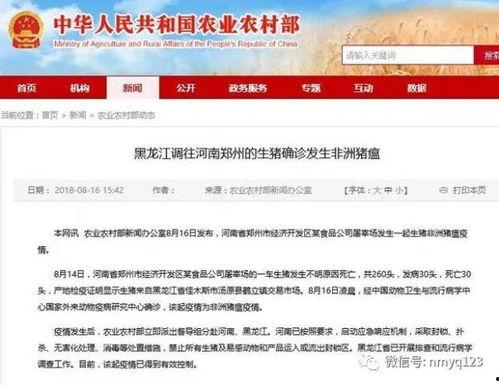 八村最新爆料消息新闻报道,揭秘背后惊人真相!”