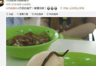最新新康饭菜爆料,揭秘校园美食背后的秘密!”