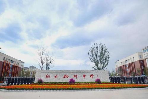 衡水桃城爆料最新消息,揭秘事件真相,真相令人震惊!