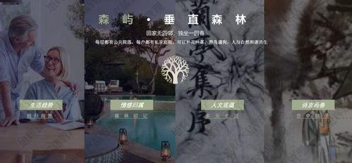 四代合宿爆料最新,新成员加盟,精彩内容抢先看!