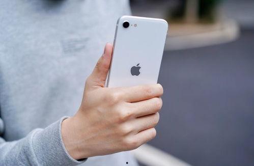 最新iPhoneSE爆料,全新爆料揭示设计升级与性能革新!