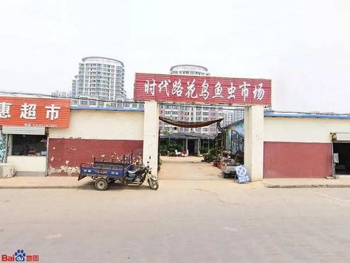 赣榆大鬼最新爆料,揭秘事件背后惊人真相!